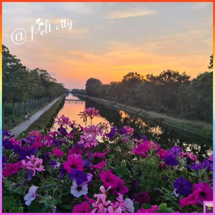 La Rose Bed & Breakfast NeerNeerpelt Dış mekan fotoğraf