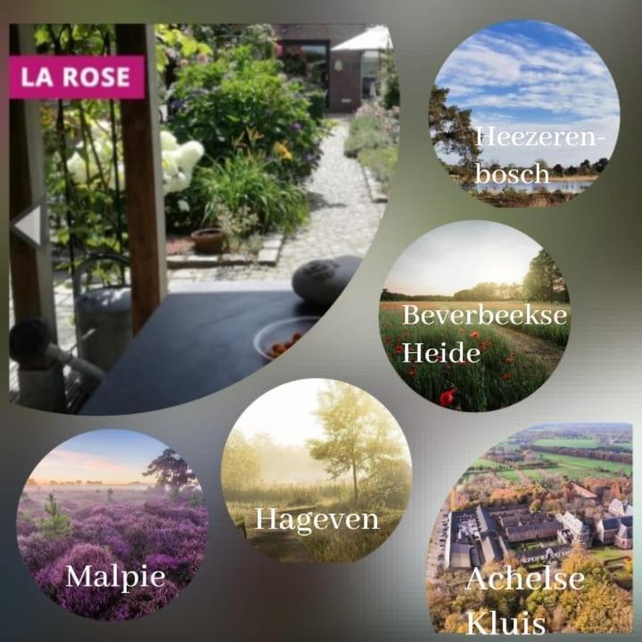 La Rose Bed & Breakfast NeerNeerpelt Dış mekan fotoğraf