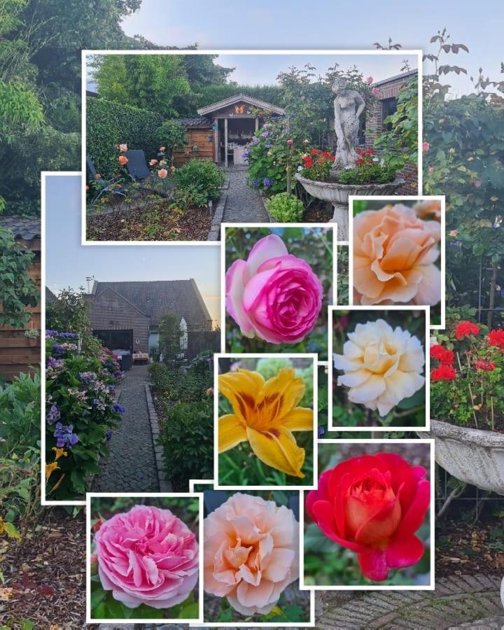 La Rose Bed & Breakfast NeerNeerpelt Dış mekan fotoğraf