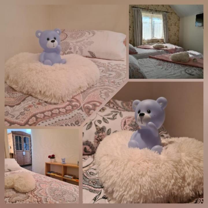 La Rose Bed & Breakfast NeerNeerpelt Dış mekan fotoğraf