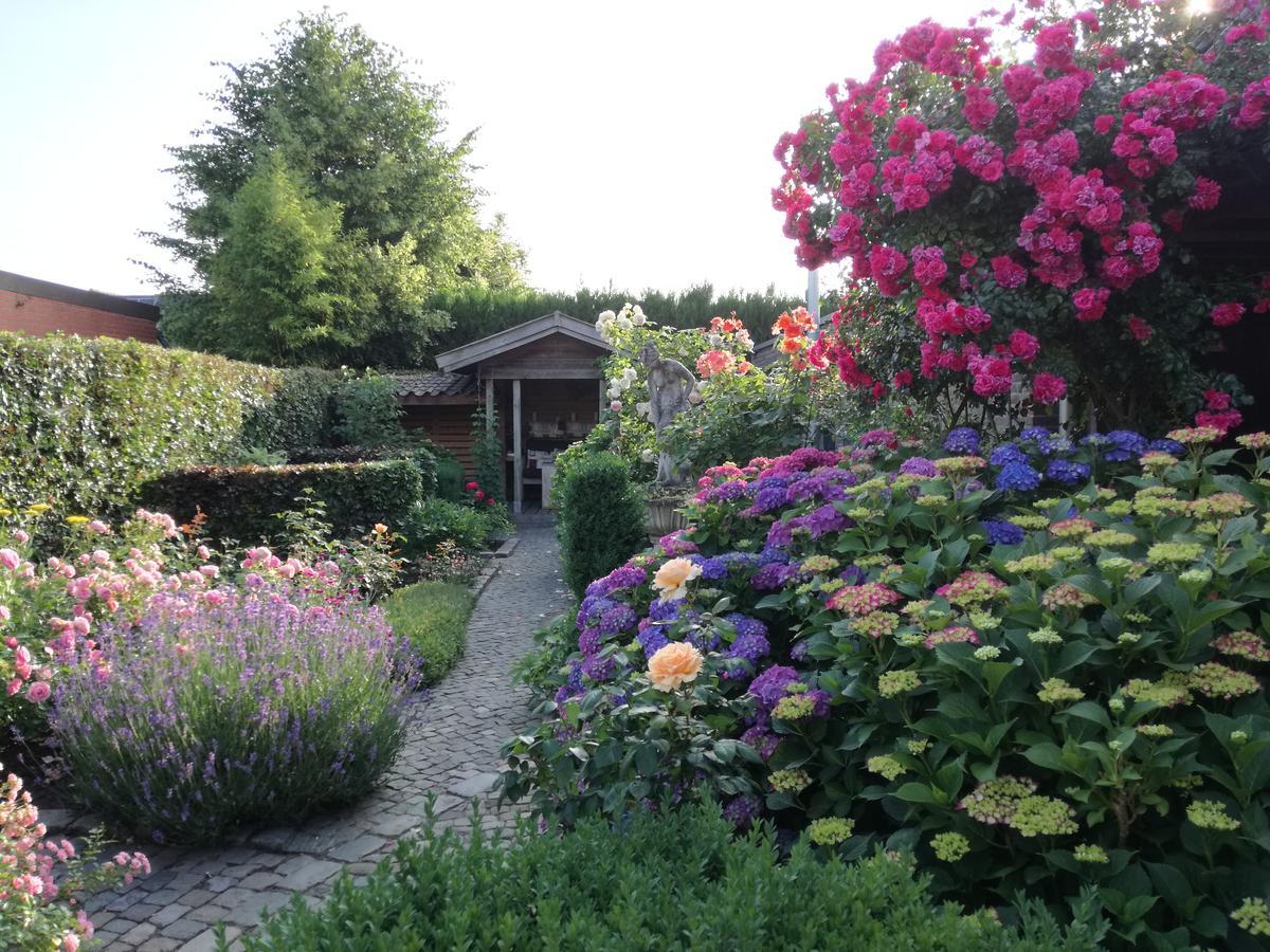 La Rose Bed & Breakfast NeerNeerpelt Dış mekan fotoğraf
