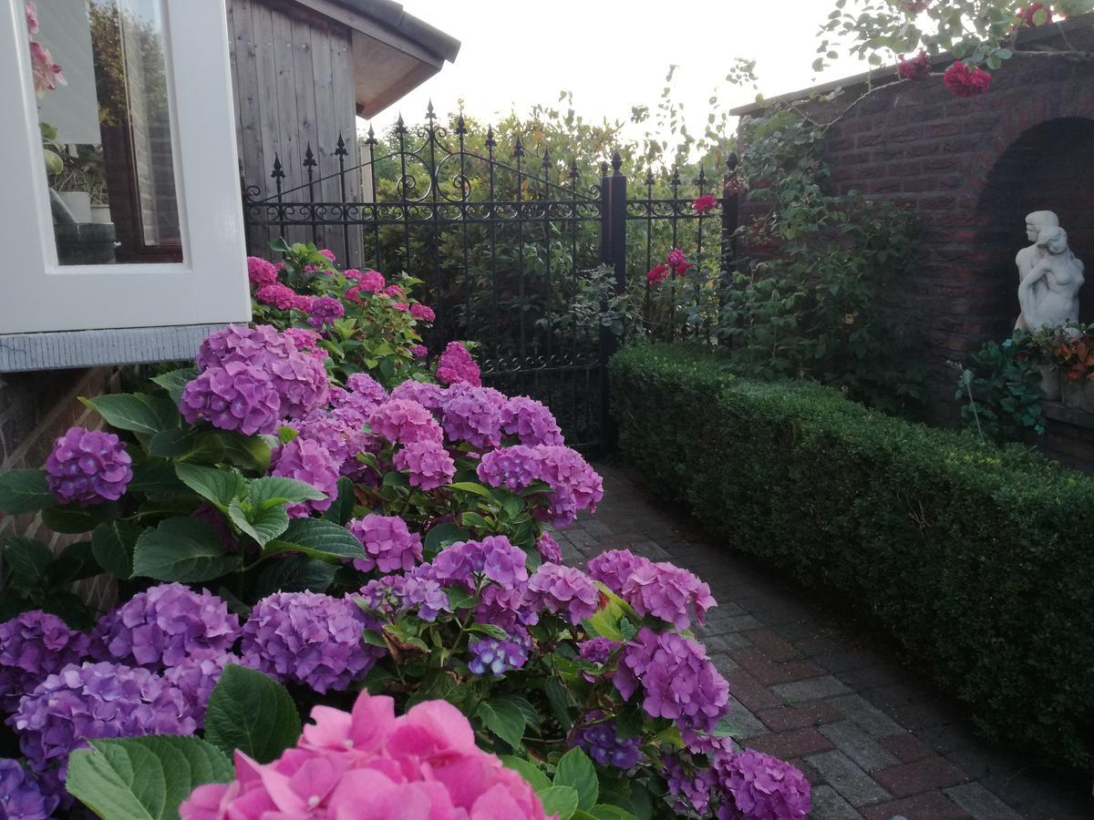 La Rose Bed & Breakfast NeerNeerpelt Dış mekan fotoğraf